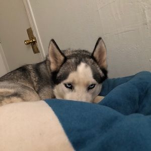 Meet your Posher, Nancy